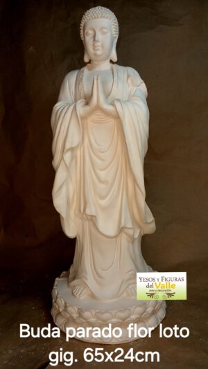 Buda parado flor loto gigante